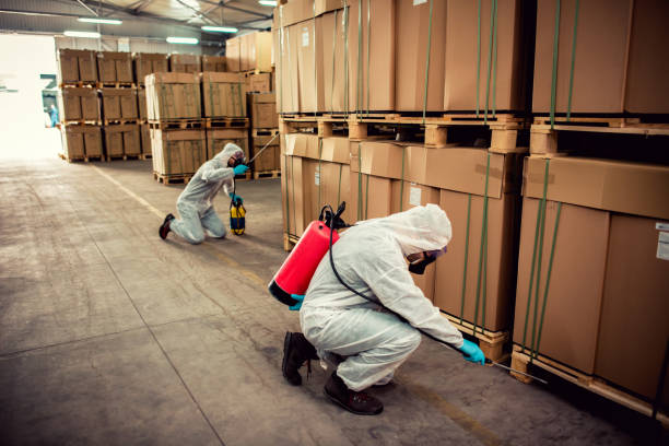 Best Wasp Removal Services  in Powell, OH