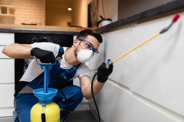 Best Pest Removal Services  in Powell, OH