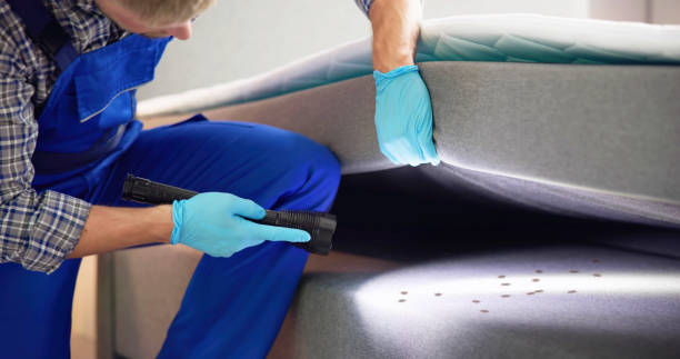 Best Pest Inspection Near Me  in Powell, OH