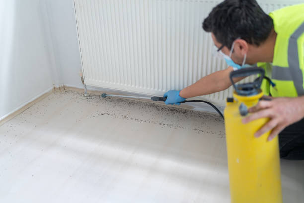 Best Exterminator Services  in Powell, OH